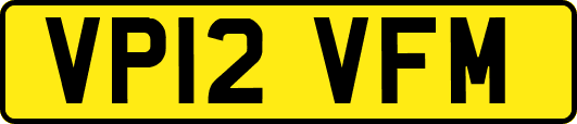 VP12VFM