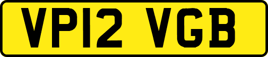 VP12VGB