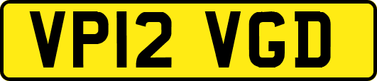 VP12VGD