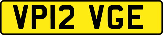 VP12VGE