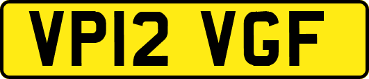 VP12VGF