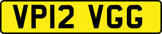 VP12VGG