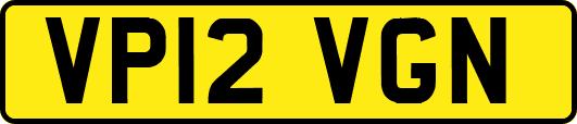 VP12VGN