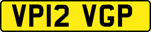 VP12VGP
