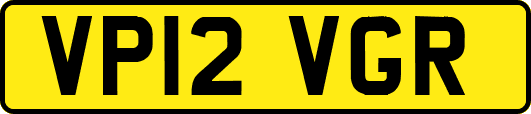 VP12VGR