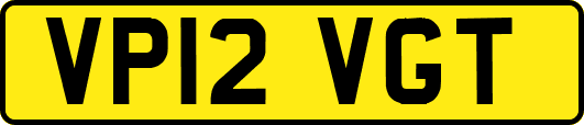 VP12VGT