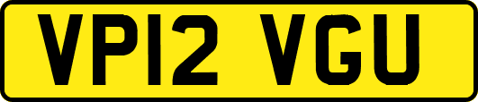 VP12VGU