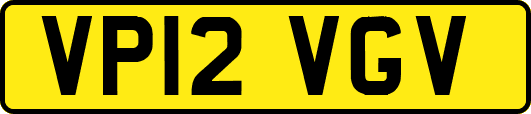 VP12VGV