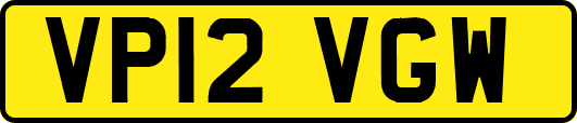 VP12VGW