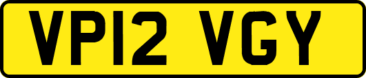 VP12VGY