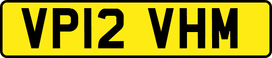 VP12VHM
