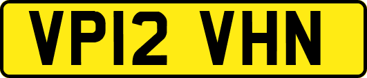 VP12VHN