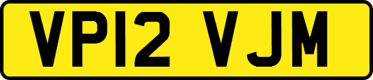 VP12VJM