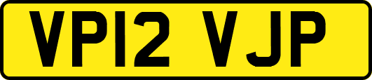 VP12VJP