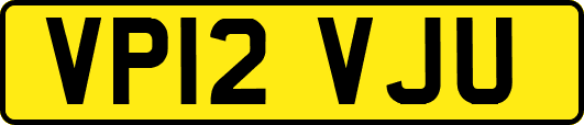 VP12VJU