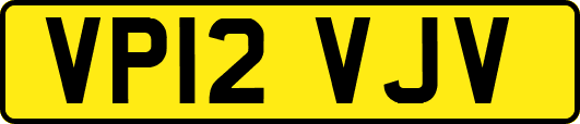 VP12VJV