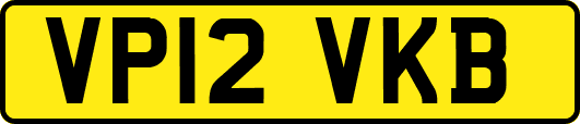 VP12VKB
