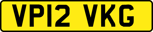 VP12VKG