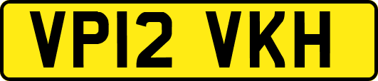 VP12VKH