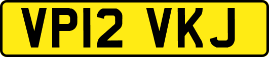 VP12VKJ