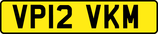 VP12VKM