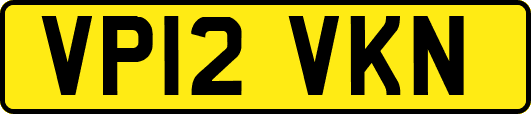 VP12VKN