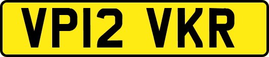 VP12VKR