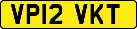 VP12VKT