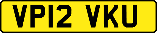 VP12VKU