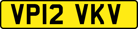 VP12VKV