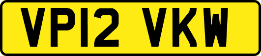 VP12VKW