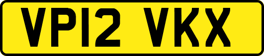 VP12VKX