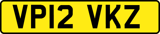 VP12VKZ