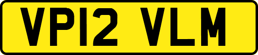 VP12VLM