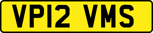 VP12VMS