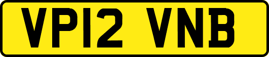 VP12VNB