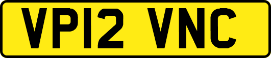 VP12VNC