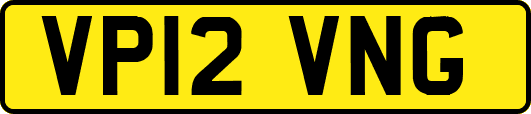 VP12VNG