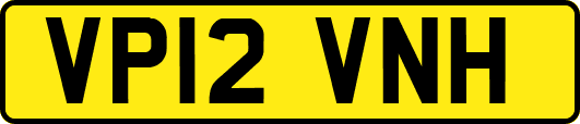 VP12VNH