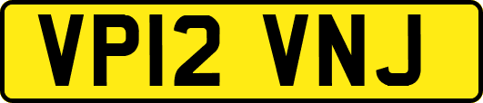 VP12VNJ