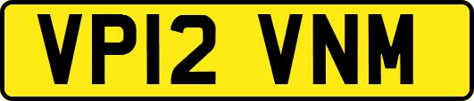 VP12VNM