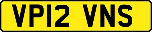 VP12VNS