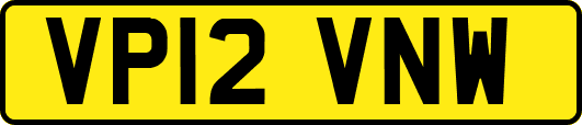 VP12VNW