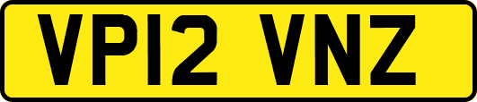 VP12VNZ
