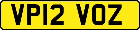 VP12VOZ