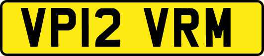 VP12VRM