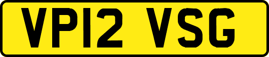 VP12VSG