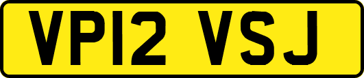 VP12VSJ