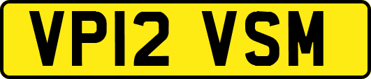 VP12VSM