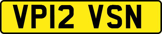 VP12VSN